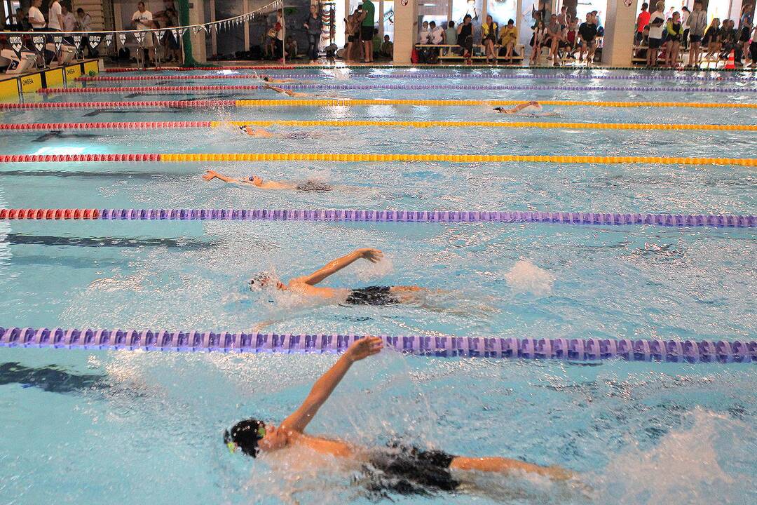 „Kaunas Grand Prix 2019“ plaukimo varžybos 