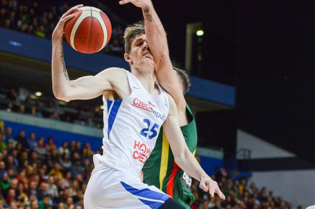 Krepšinis: Lietuva – Čekija 97:89
