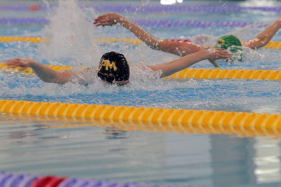 Lietuvos plaukimo čempionatas 2019