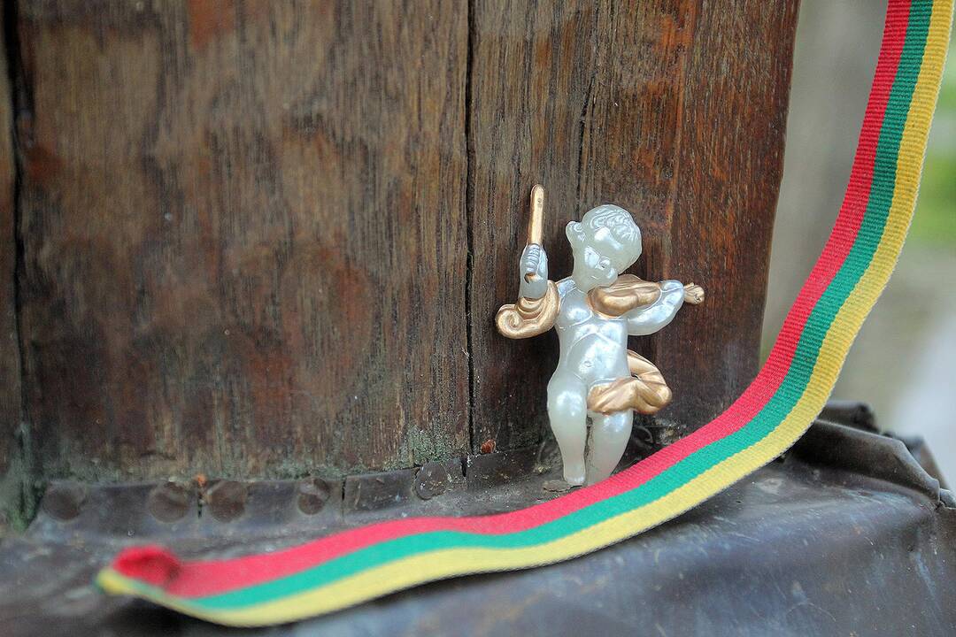 Fluxus Labas ekskursija po Petrašiūnų kapines