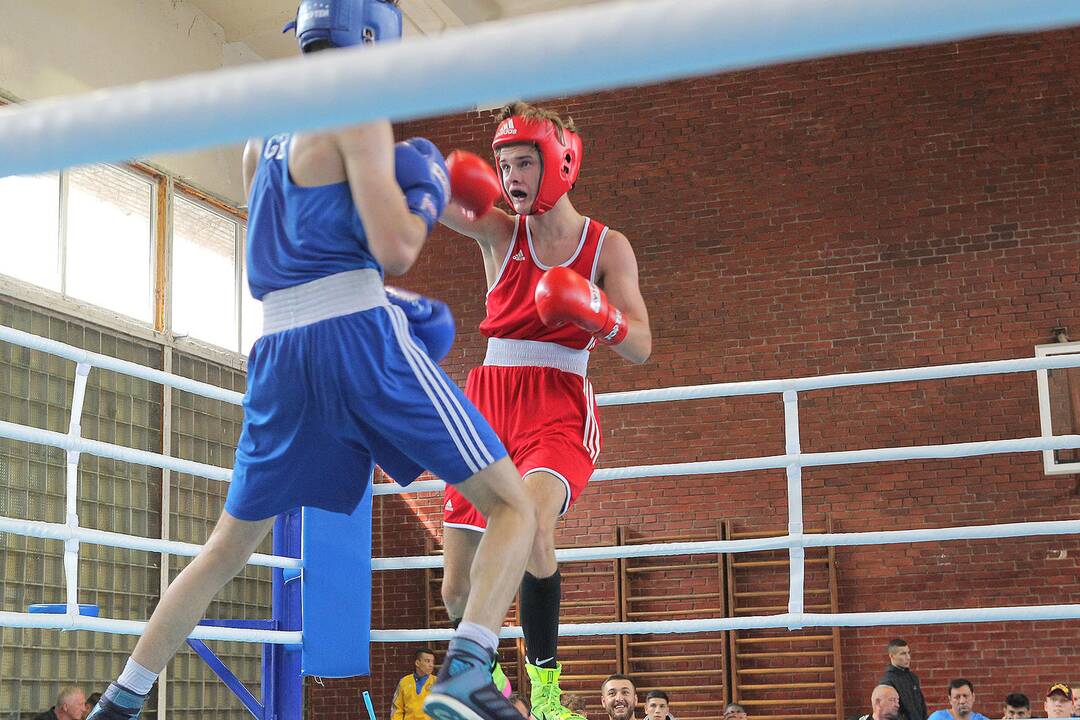 R. Tamulio bokso turnyro ketvirtfinaliai