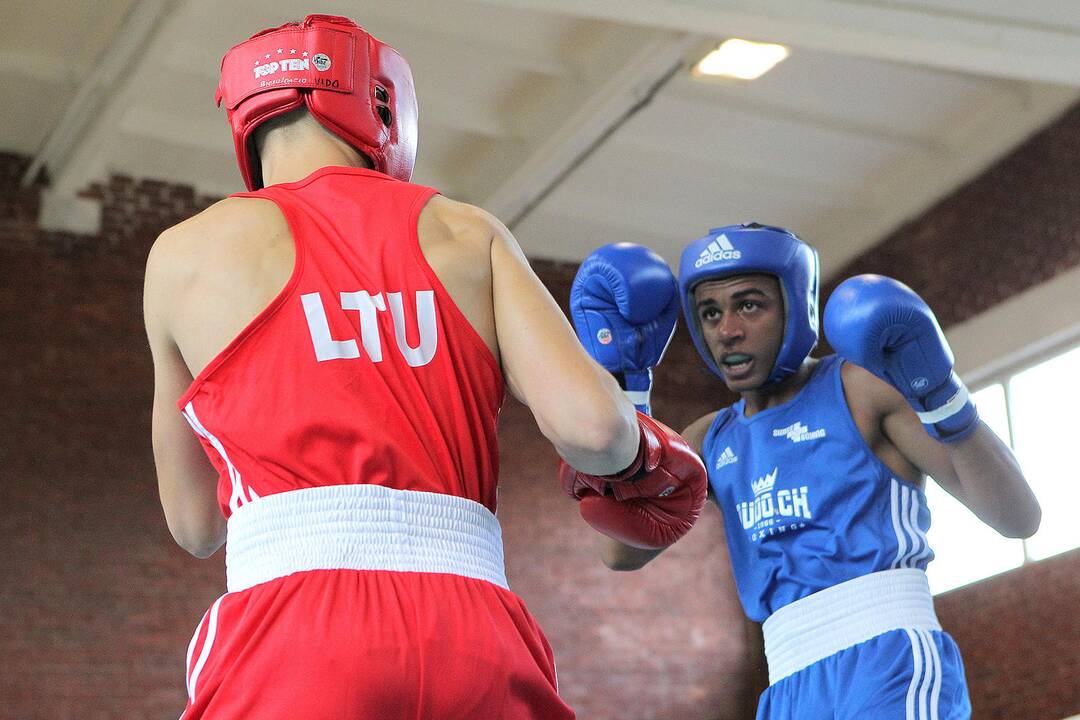 R. Tamulio bokso turnyro ketvirtfinaliai