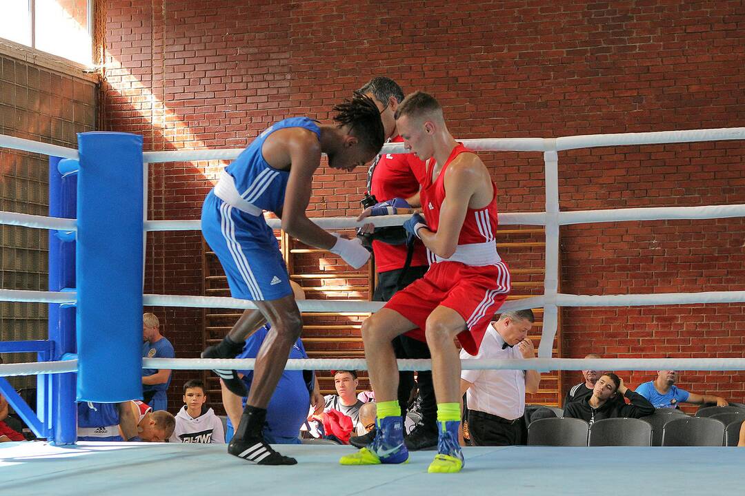 R. Tamulio bokso turnyro ketvirtfinaliai