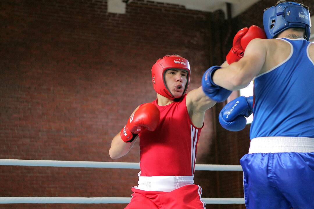 R. Tamulio bokso turnyro ketvirtfinaliai