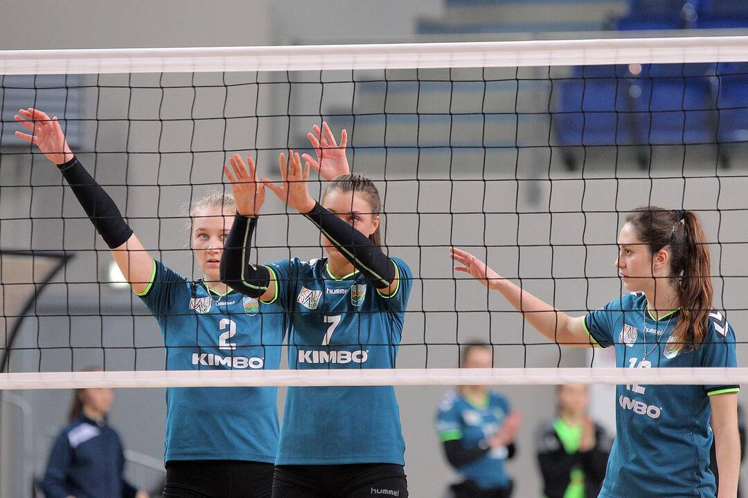 Tinklinis: TK „Kaunas“ – „Achema“ 3:0