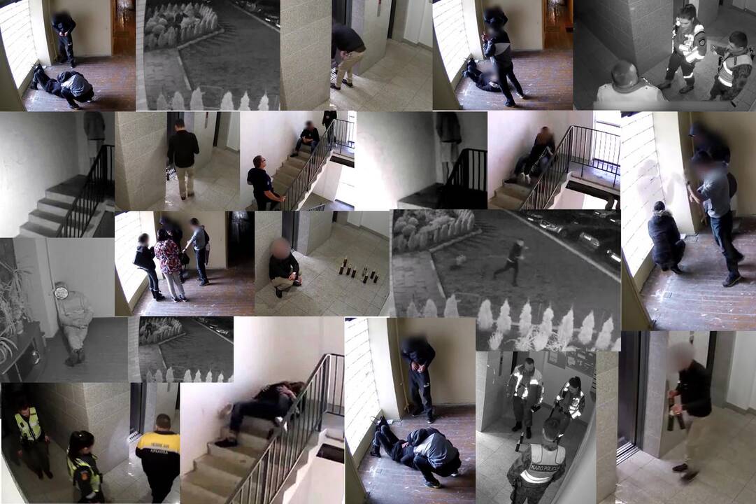 Įvairovė: daugiabučių namų laiptinėse vaizdo stebėjimo kameros fiksuoja ir nusikaltimus bei viešosios tvarkos pažeidimus, ir pikantiškas sekso scenas ar nepaaiškinamai besielgiančius gyventojus. 