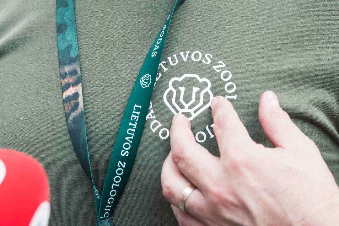 Lietuvos zoologijos sode liūtai švenčia savo gimtadienį