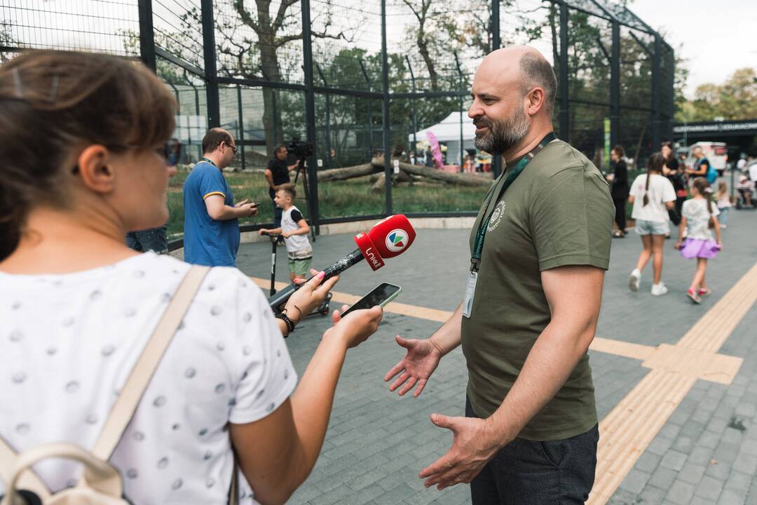 Lietuvos zoologijos sode liūtai švenčia savo gimtadienį