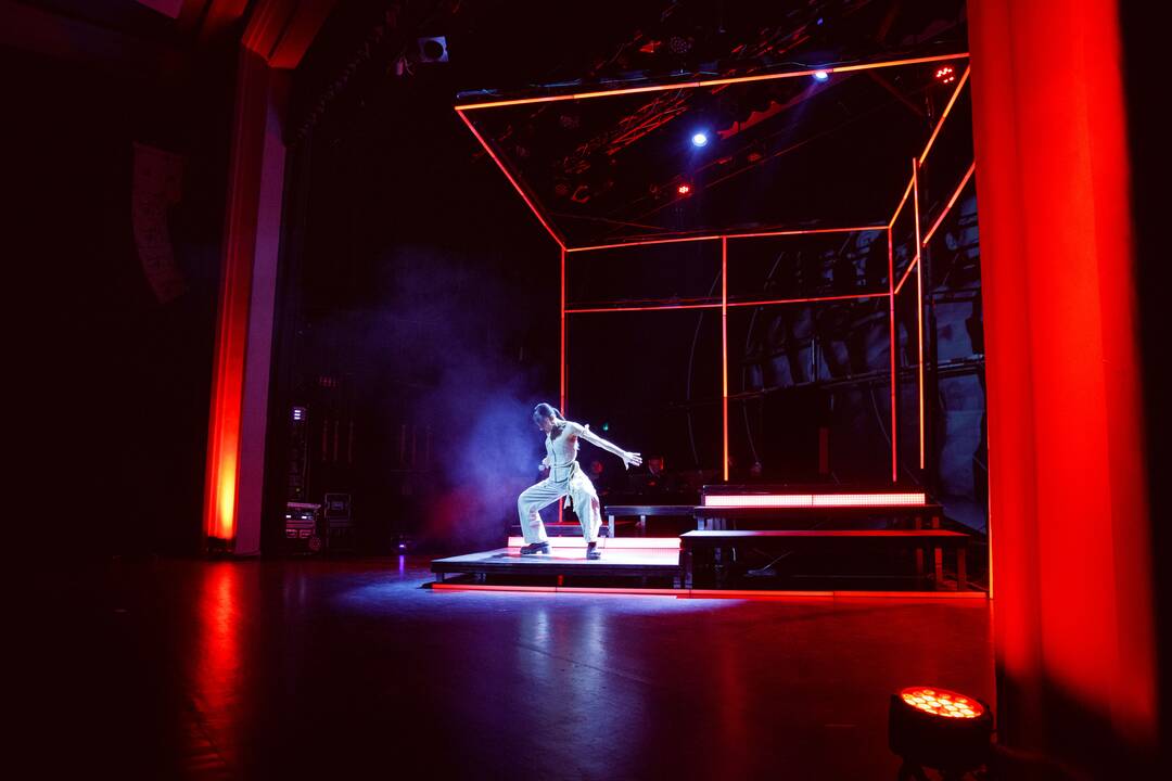 Profesionalių teatro kūrėjų apdovanojimų vakaras