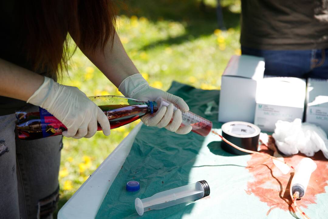 Žaidynės „Palaikau pulsą“ Santakos parke