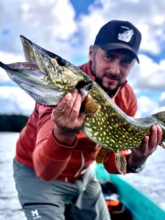 Mantas Vaitiekūnas