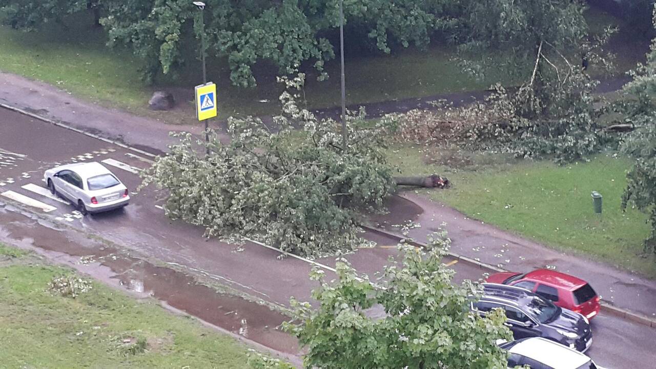 Kauną nuplovė smarkus lietus