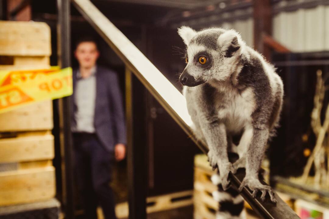 Vilniuje duris atvėrė zoologijos sodas