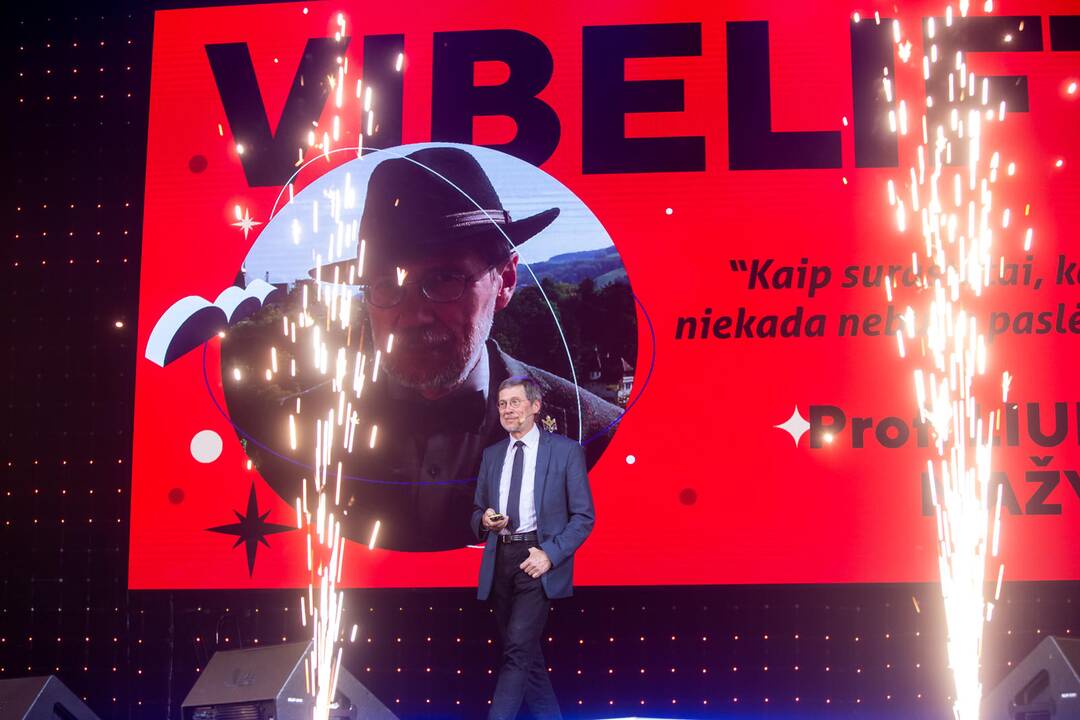 Jaunimo festivalis „Vibelift“
