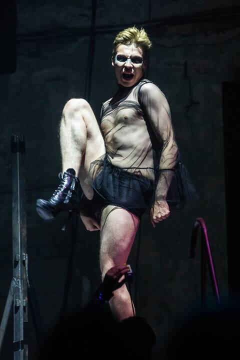 Režisieriaus M. Gośniowskio-Gąsiu performansas
