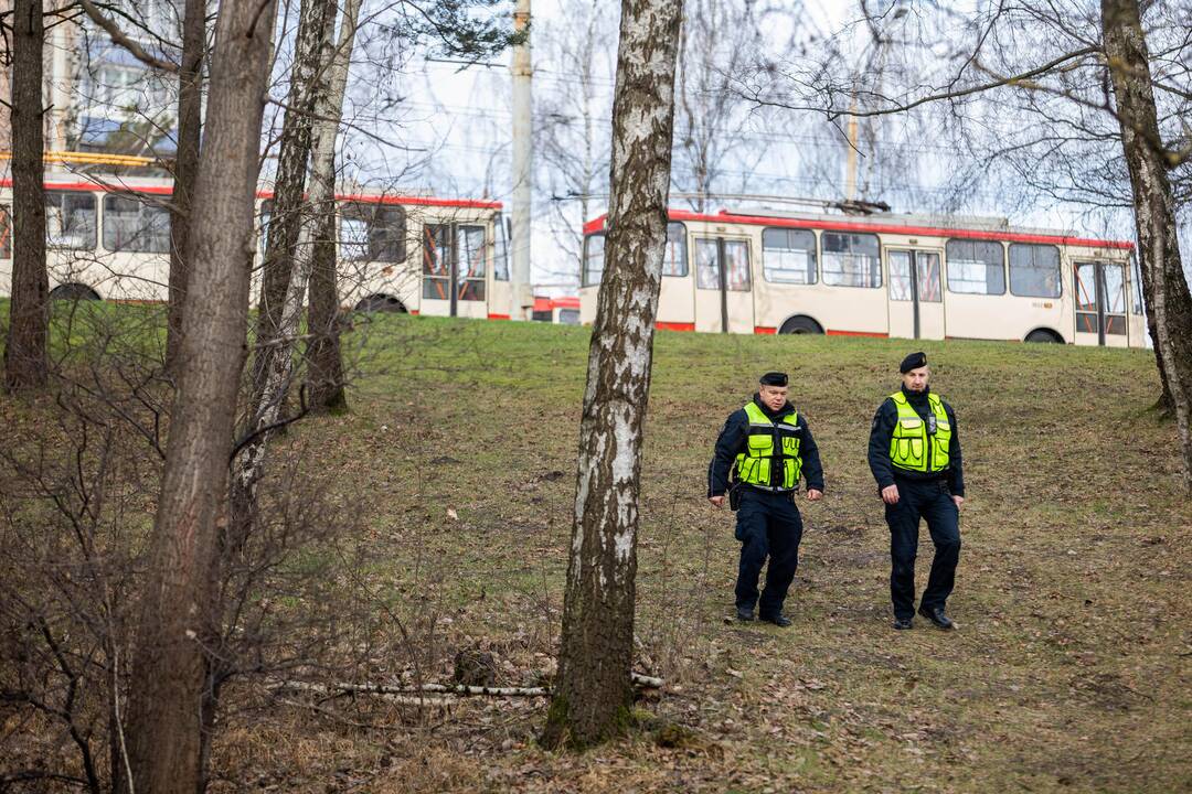 Galimai pagrobtos mergaitės paieška Vilniuje