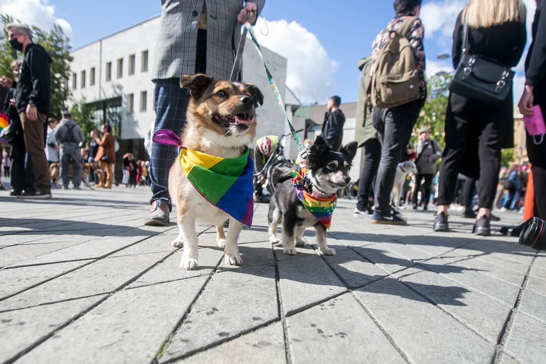 Į LGBT eitynes renkasi žmonės