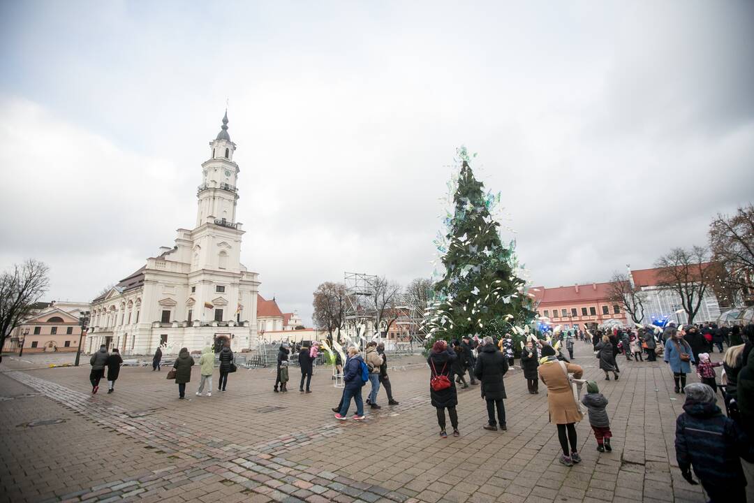 Sekmadienio dieną kauniečiai apžiūrinėja Kalėdų eglę