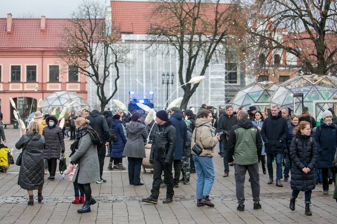 Sekmadienio dieną kauniečiai apžiūrinėja Kalėdų eglę