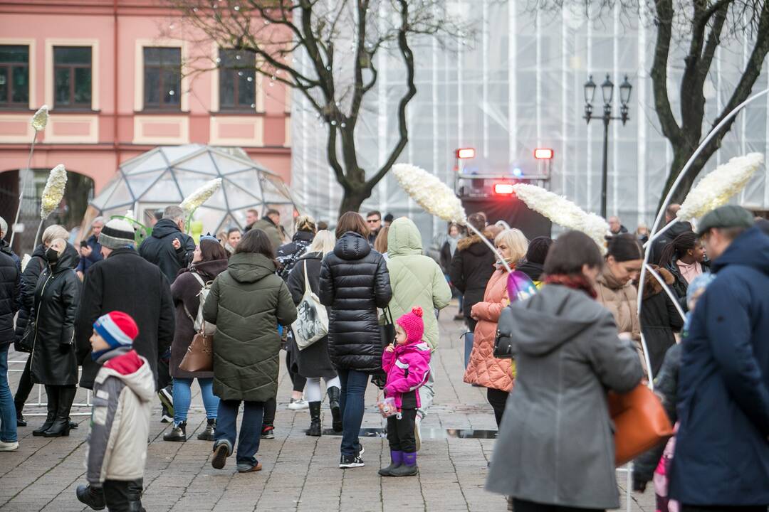 Sekmadienio dieną kauniečiai apžiūrinėja Kalėdų eglę