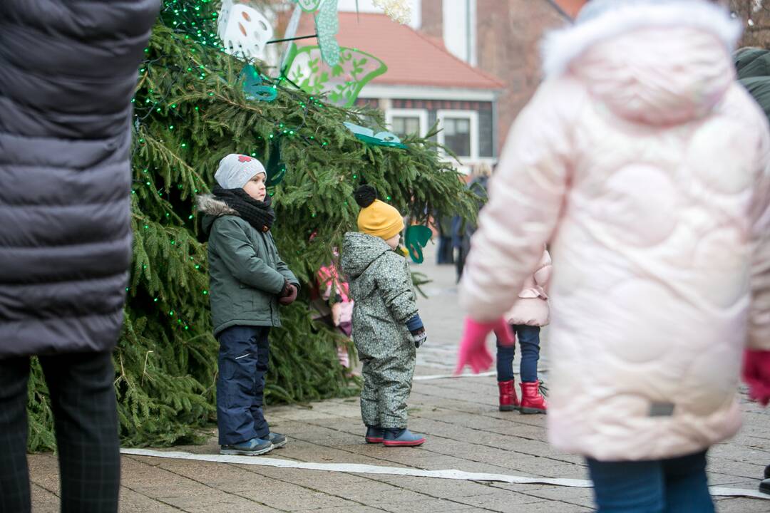 Sekmadienio dieną kauniečiai apžiūrinėja Kalėdų eglę