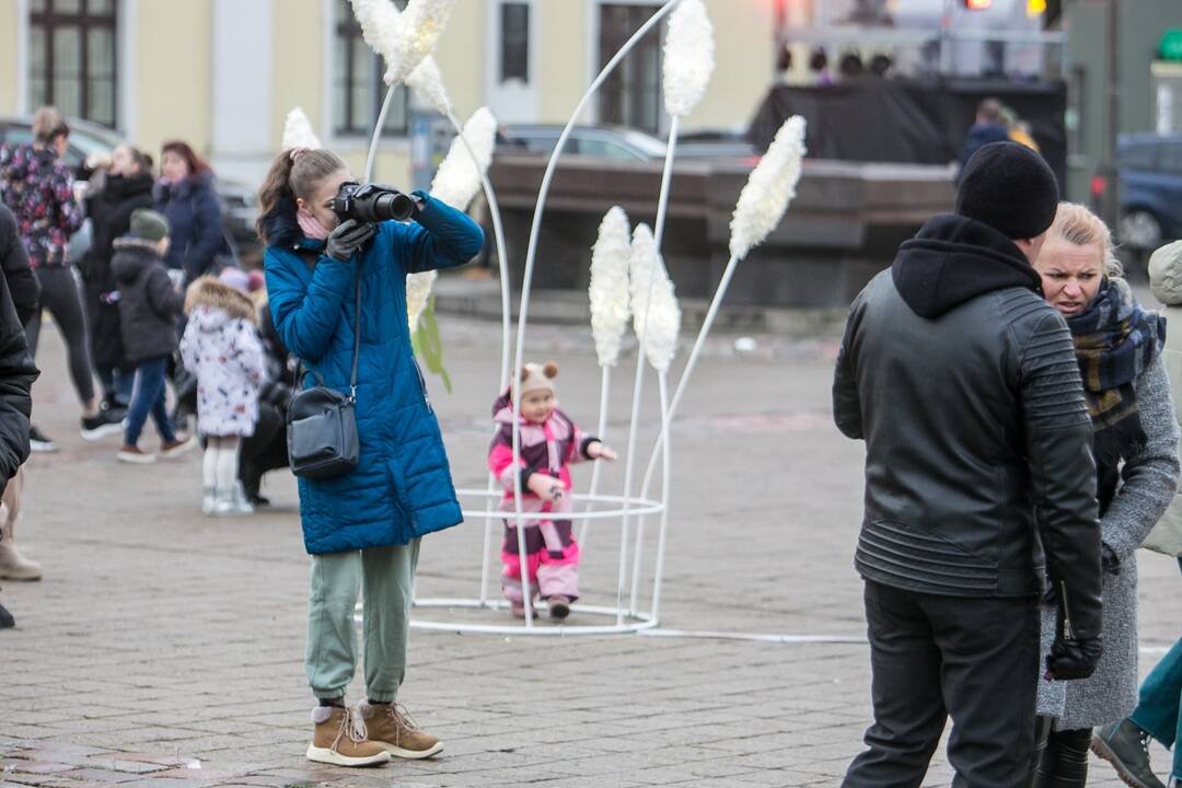 Sekmadienio dieną kauniečiai apžiūrinėja Kalėdų eglę