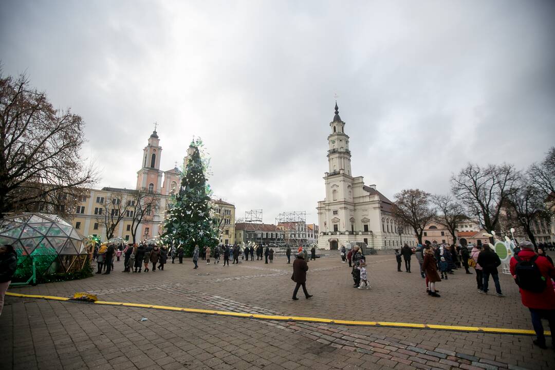 Sekmadienio dieną kauniečiai apžiūrinėja Kalėdų eglę