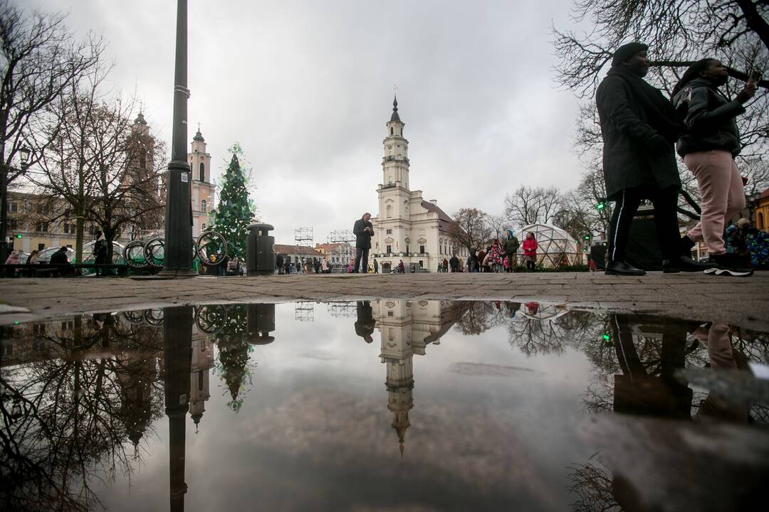 Sekmadienio dieną kauniečiai apžiūrinėja Kalėdų eglę