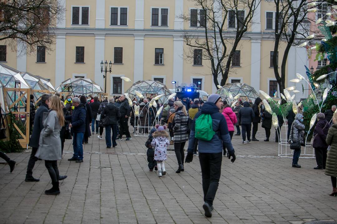 Sekmadienio dieną kauniečiai apžiūrinėja Kalėdų eglę