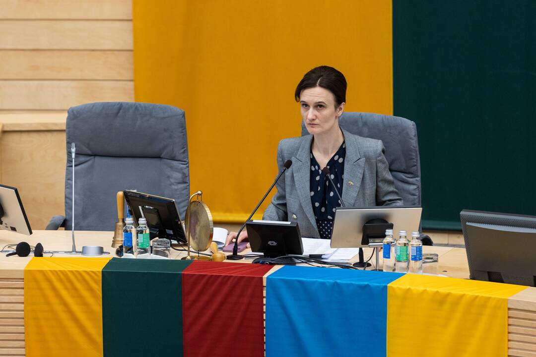 Seime premjerė pristatė praėjusių metų Vyriausybės veiklos ataskaitą