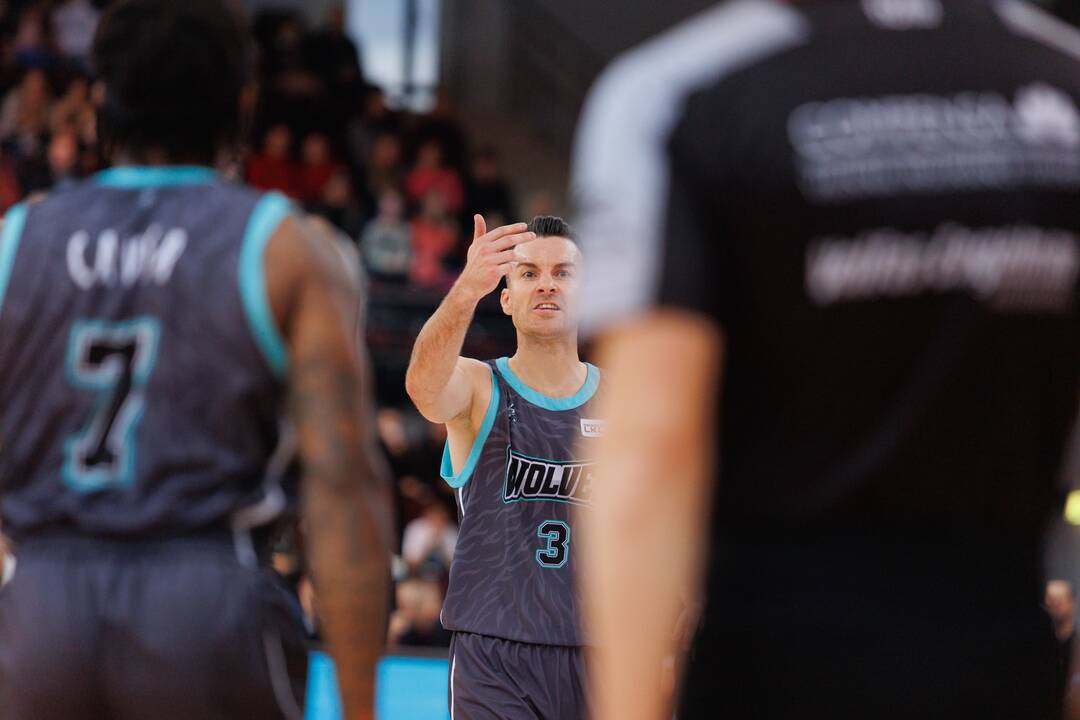 LKL: Alytuje susitiko Alytaus „Wolves“ ir Vilniaus „Rytas“