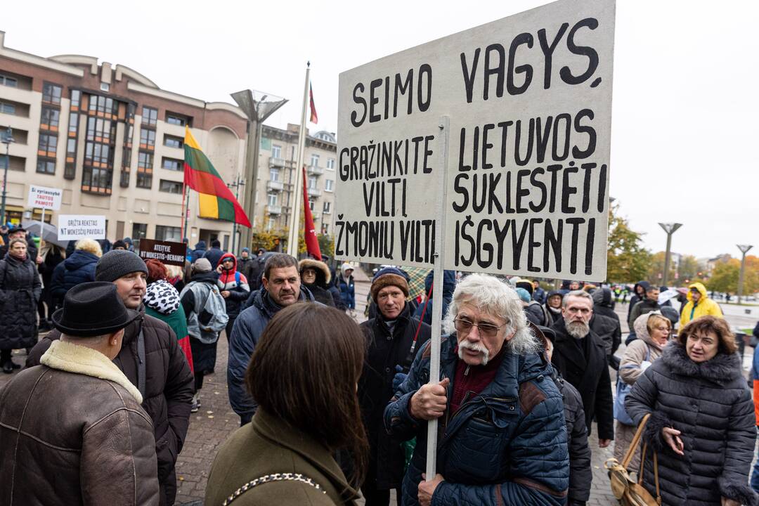 Prie Seimo – mitingas dėl NT mokesčio