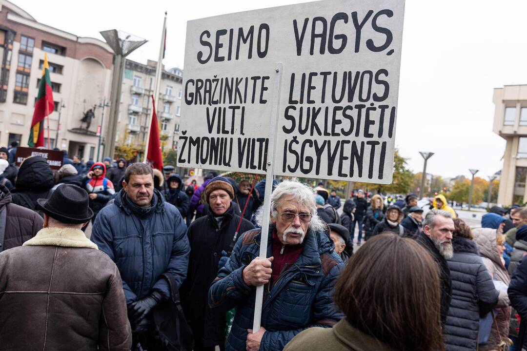 Prie Seimo – mitingas dėl NT mokesčio