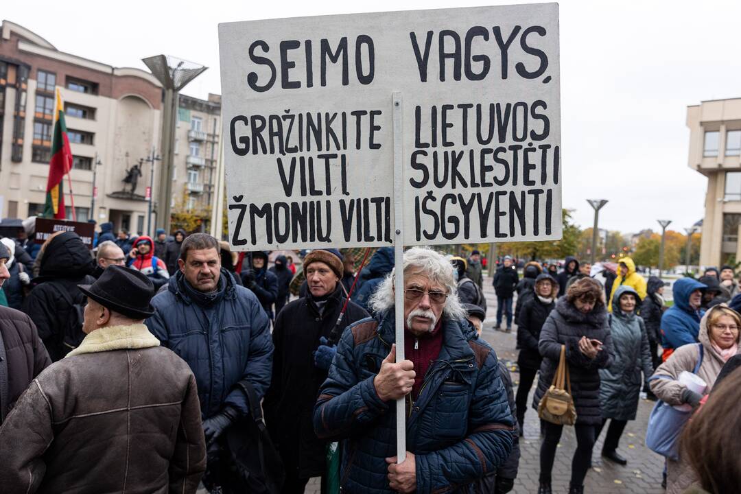 Prie Seimo – mitingas dėl NT mokesčio