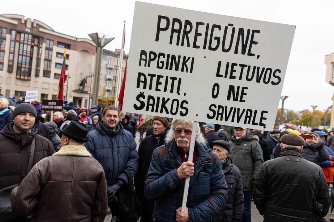 Prie Seimo – mitingas dėl NT mokesčio