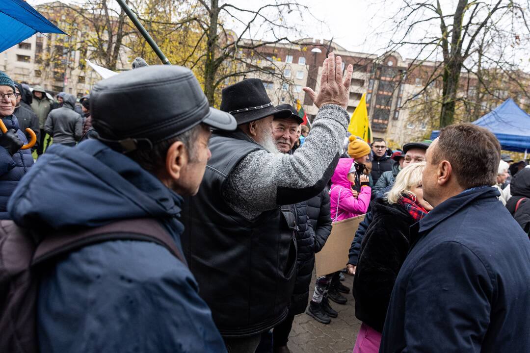 Prie Seimo – mitingas dėl NT mokesčio