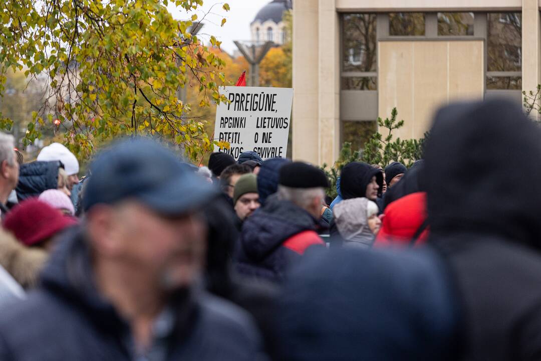 Prie Seimo – mitingas dėl NT mokesčio