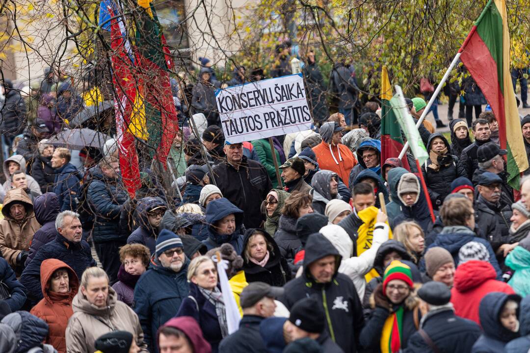 Prie Seimo – mitingas dėl NT mokesčio