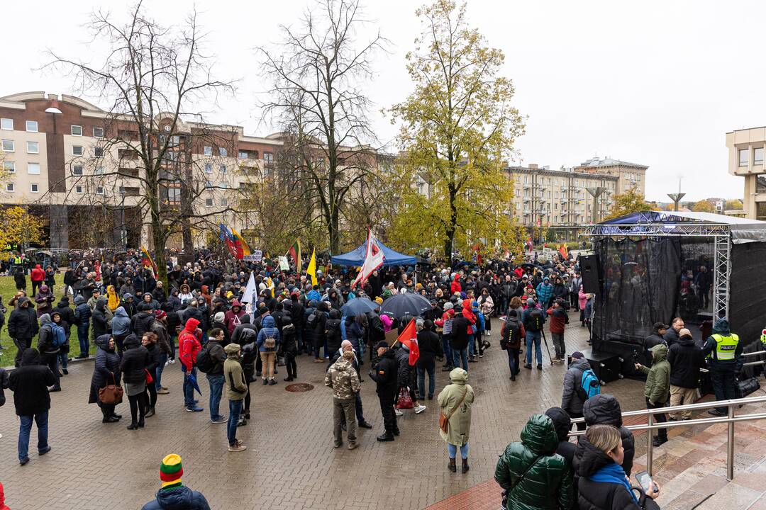 Prie Seimo – mitingas dėl NT mokesčio