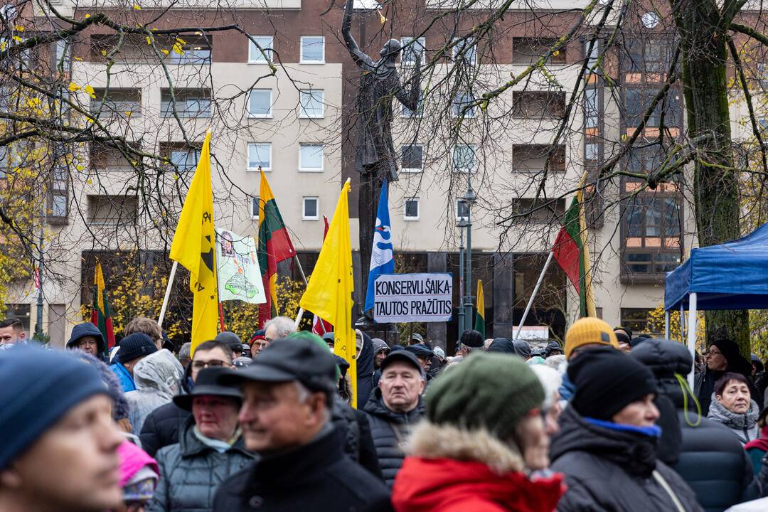Prie Seimo – mitingas dėl NT mokesčio