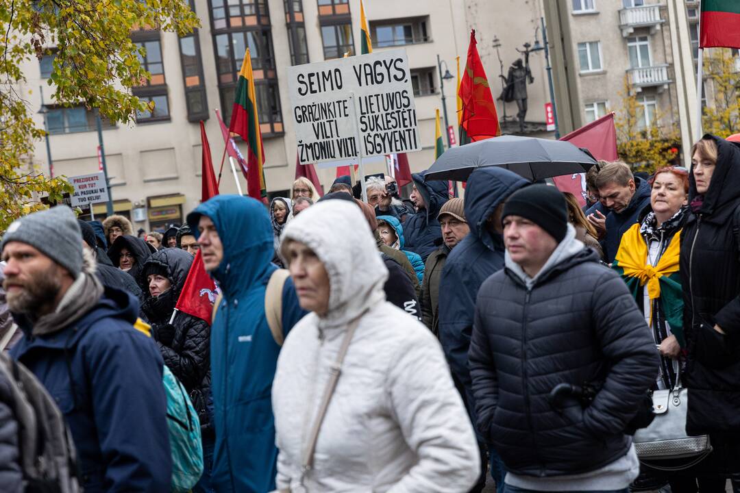 Prie Seimo – mitingas dėl NT mokesčio