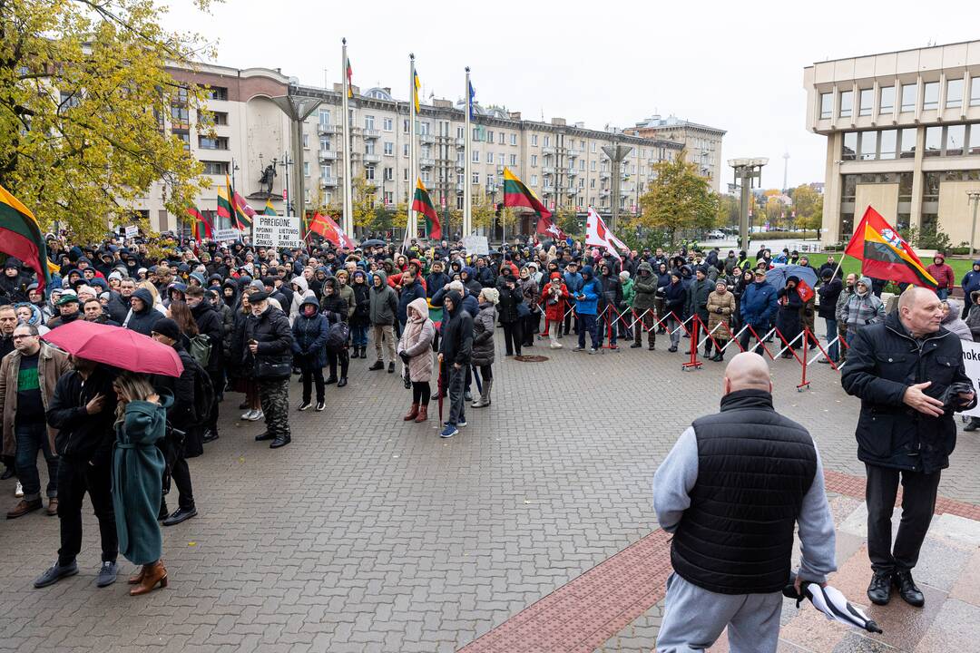 Prie Seimo – mitingas dėl NT mokesčio