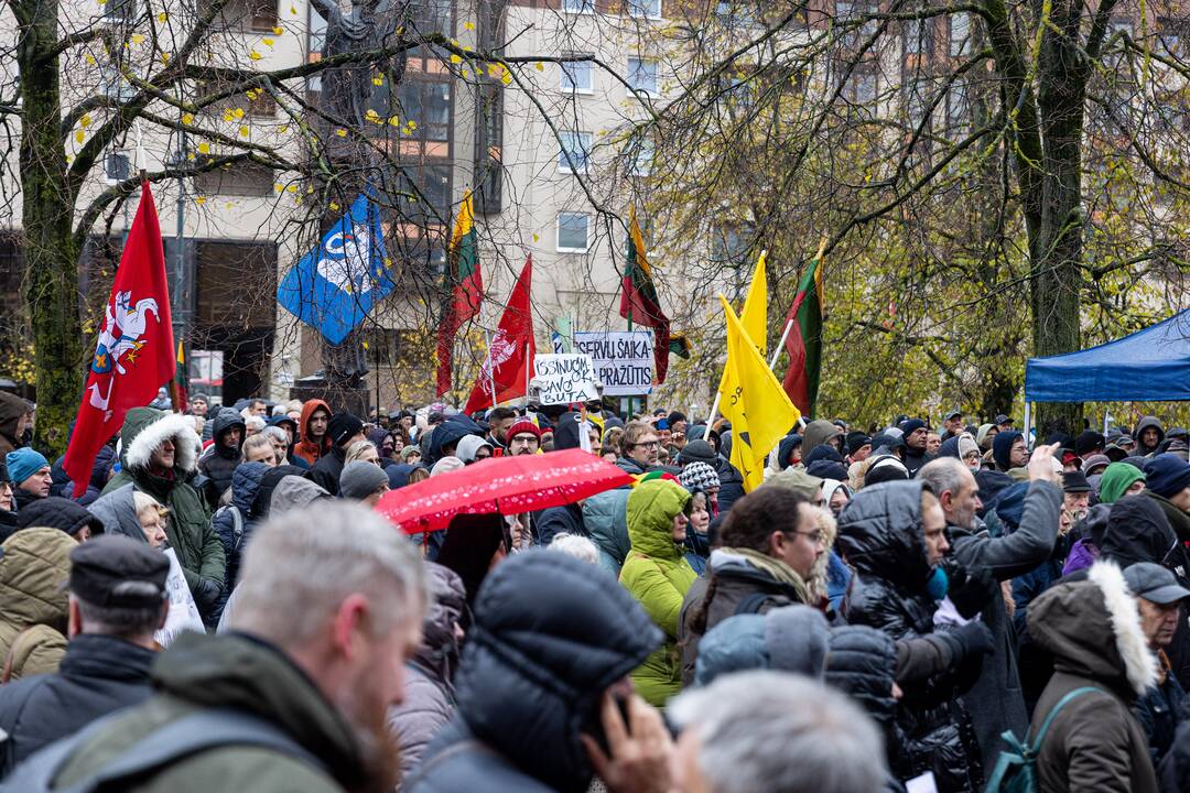 Prie Seimo – mitingas dėl NT mokesčio