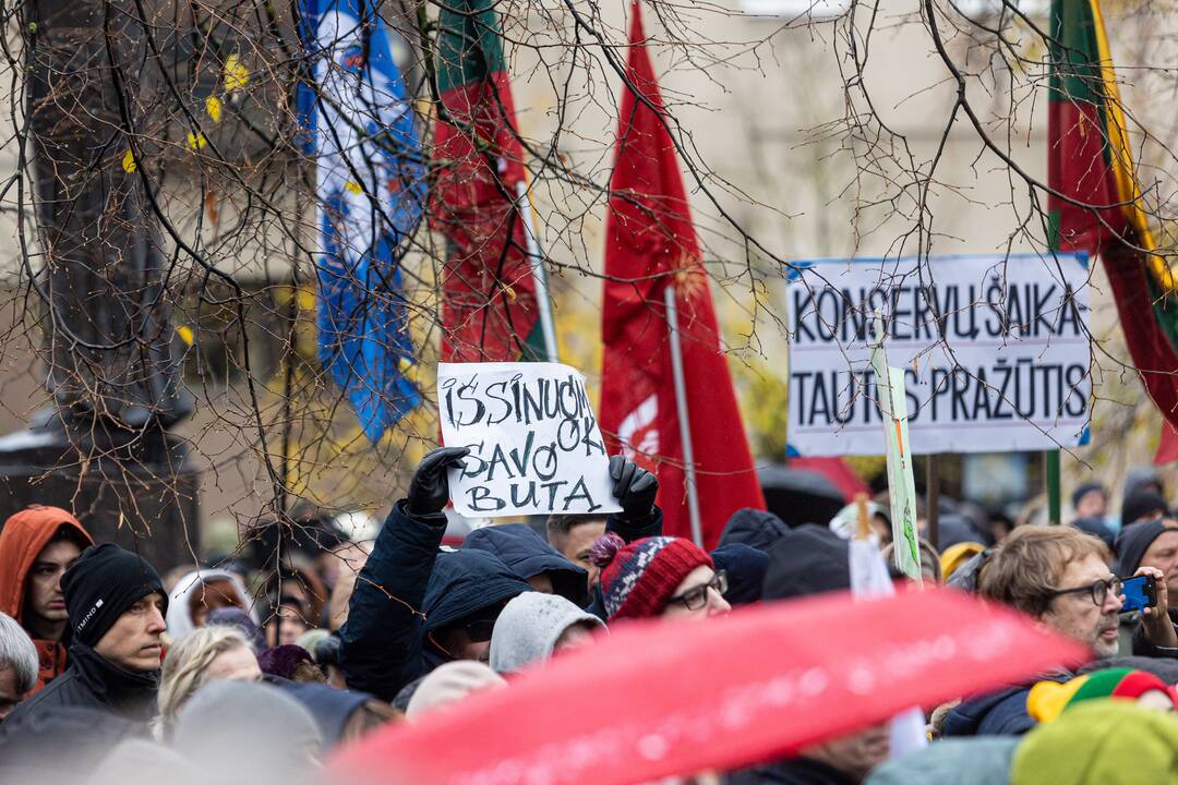Prie Seimo – mitingas dėl NT mokesčio