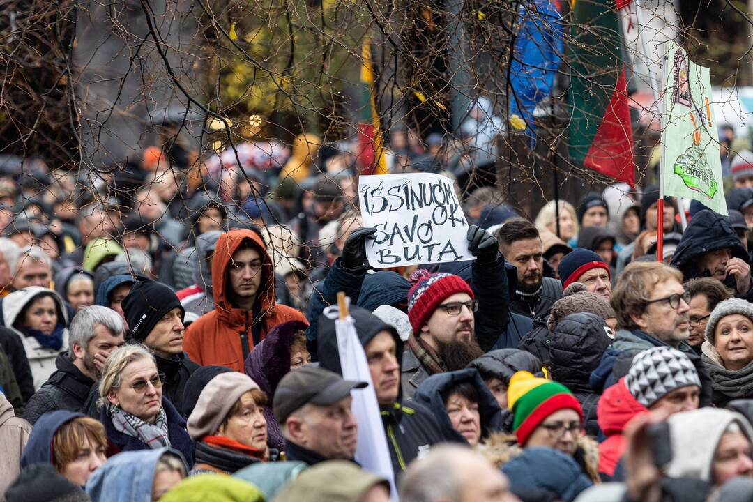 Prie Seimo – mitingas dėl NT mokesčio