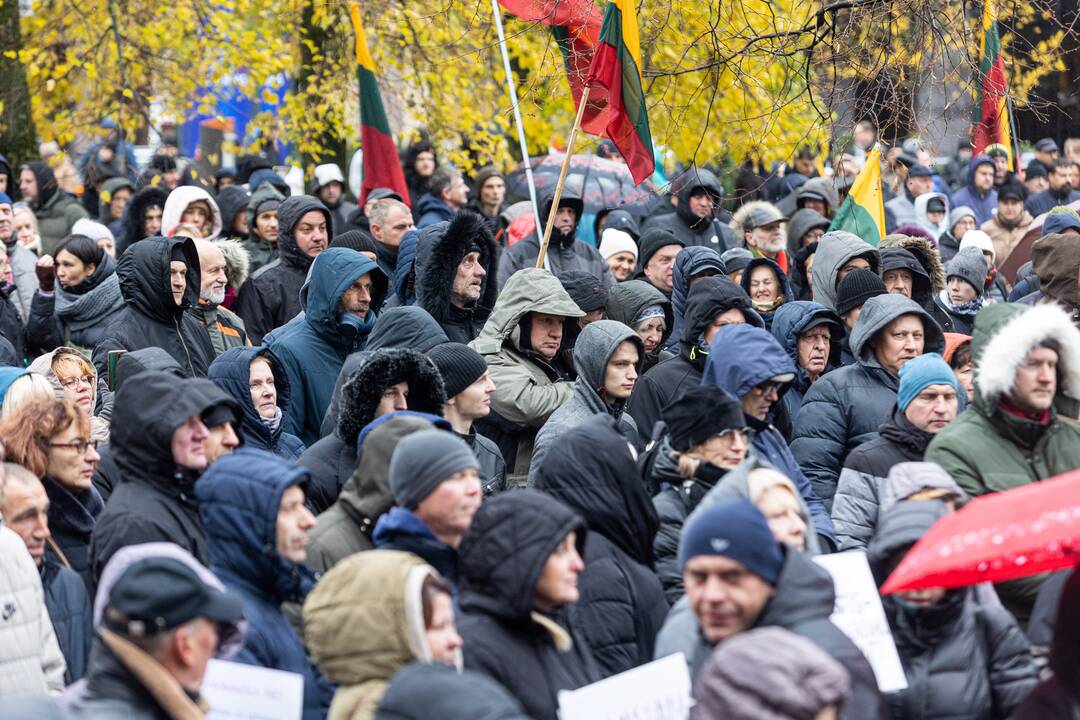 Prie Seimo – mitingas dėl NT mokesčio