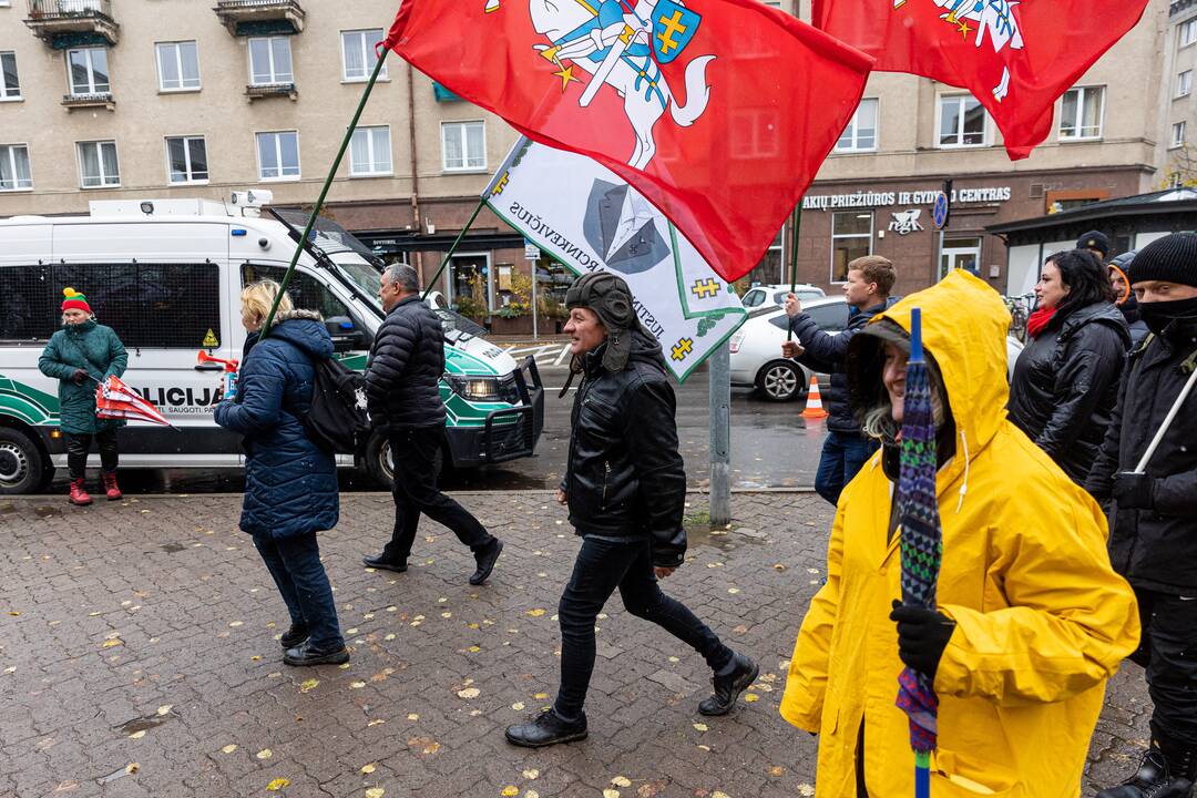 Prie Seimo – mitingas dėl NT mokesčio