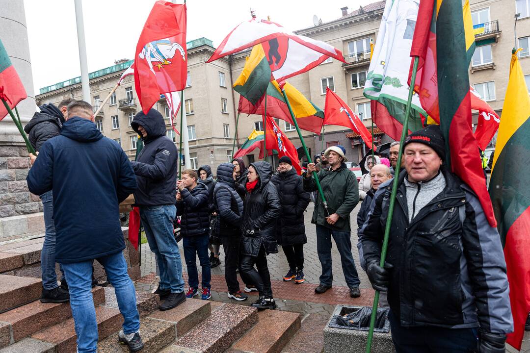 Prie Seimo – mitingas dėl NT mokesčio