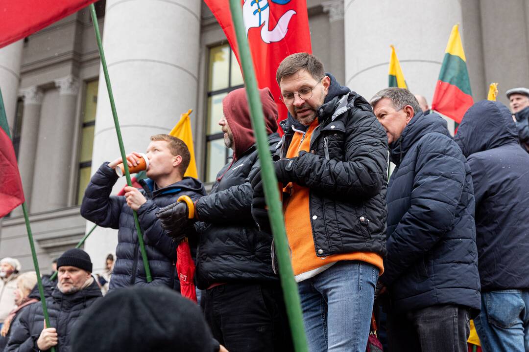 Prie Seimo – mitingas dėl NT mokesčio