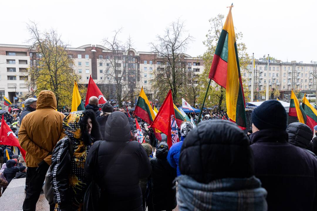 Prie Seimo – mitingas dėl NT mokesčio